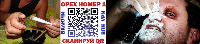 darknet состав  Новоаннинский  COCAIN Columbia  где найти  