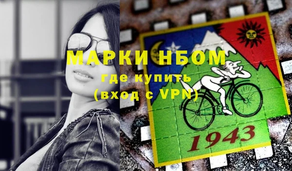 хмурый Алзамай