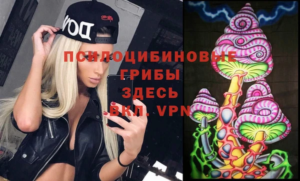 дживик Алексин