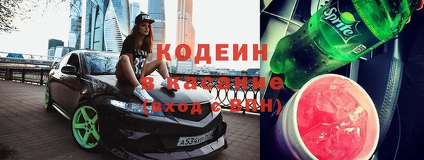 хмурый Алзамай