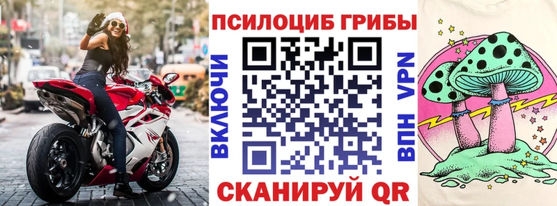 закладки  Новоаннинский  Псилоцибиновые грибы прущие грибы 